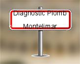 Diagnostic Plomb avant démolition sur Montélimar